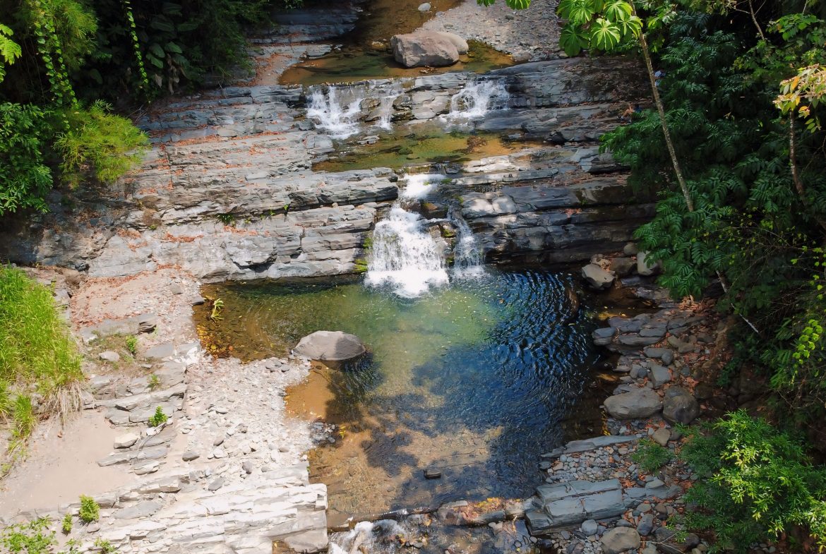 JUNGLE DREAMS FARM: WHERE NATURE MEETS SERENITY – 20 ACRES